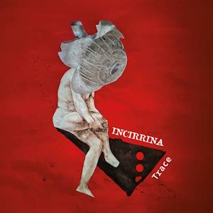Incirrina: Trace